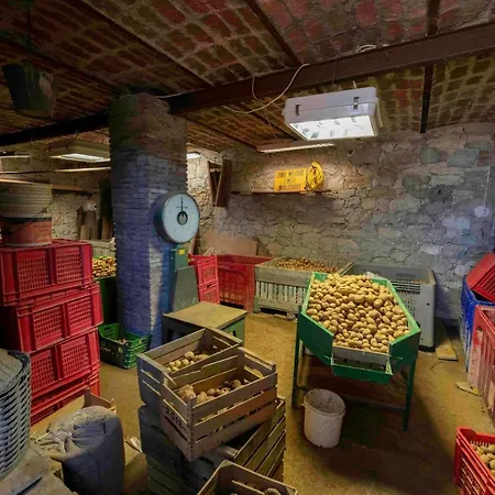 Podere P Ratizzoli Ii Piano Apartment *